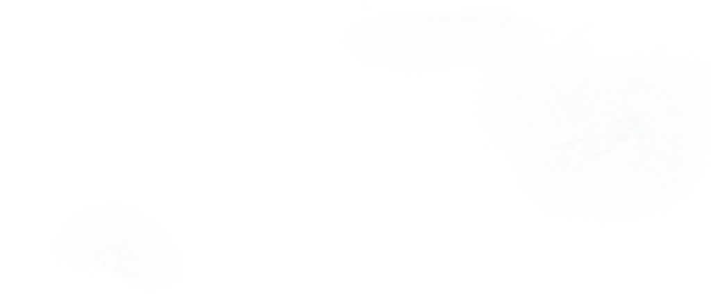  Nebel