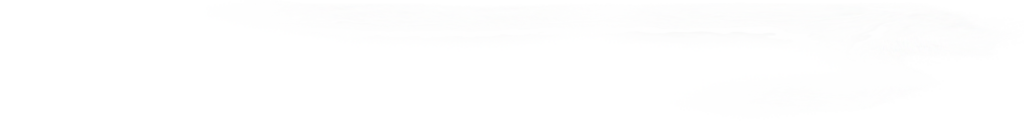  Nebel